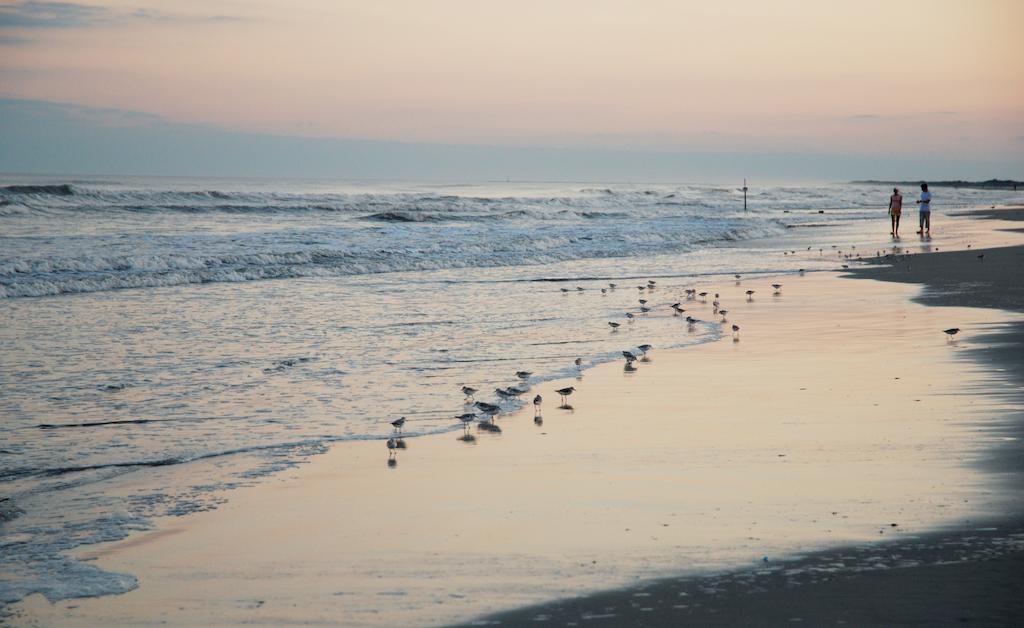 Shalimar Resort Wildwood Crest Buitenkant foto