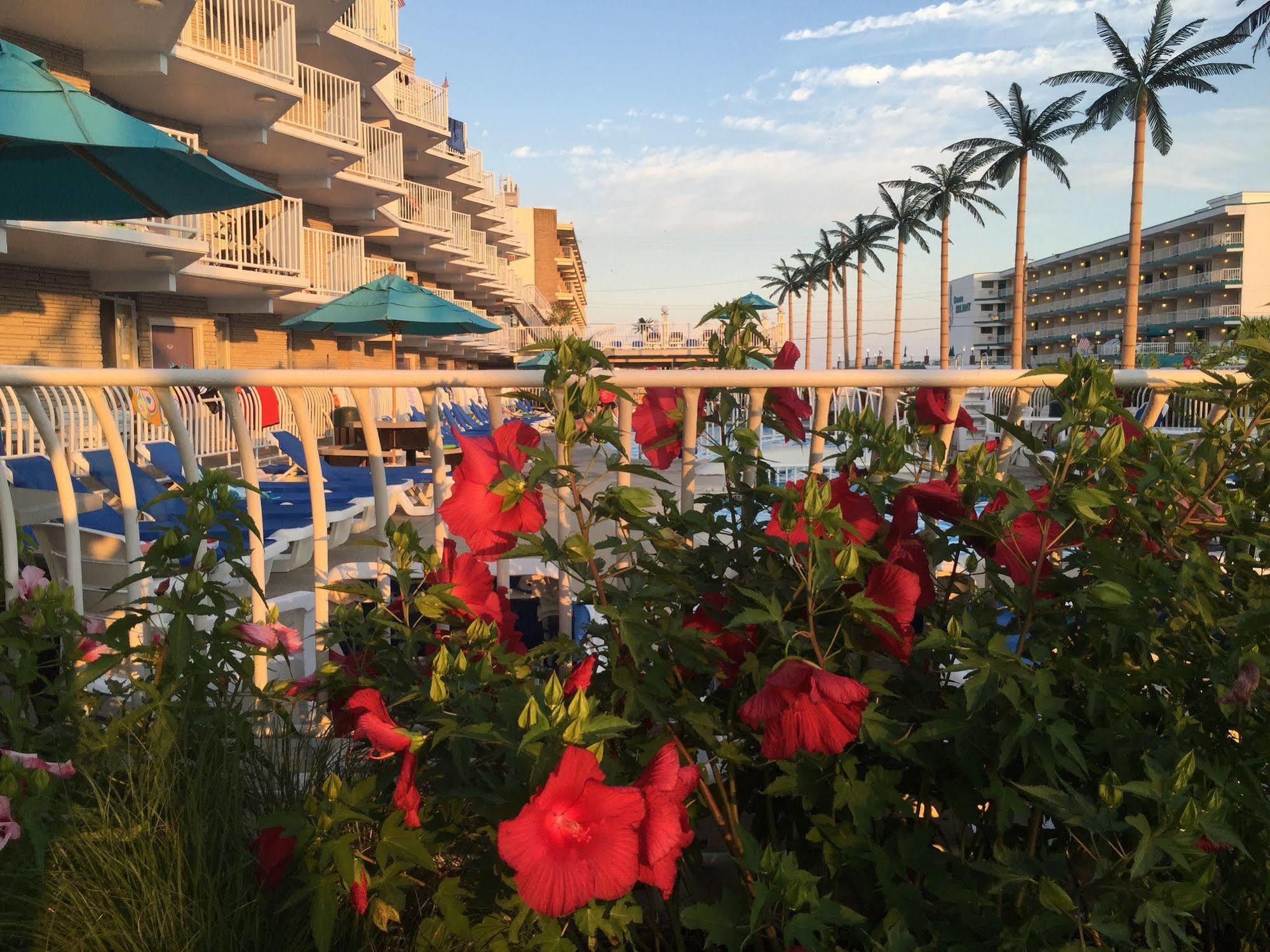 Shalimar Resort Wildwood Crest Buitenkant foto
